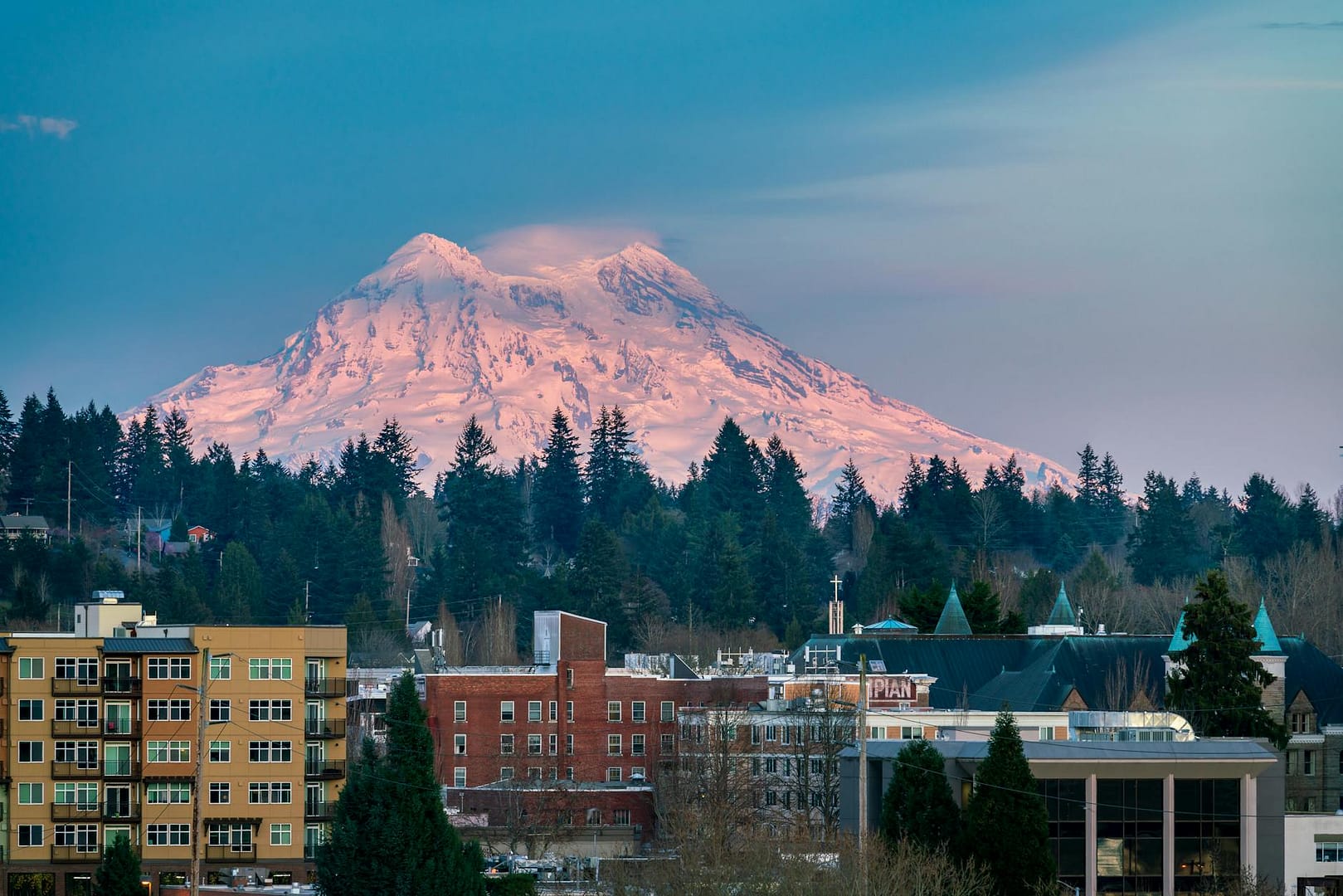 Bookstores in Olympia, Washington | Redfin Feature